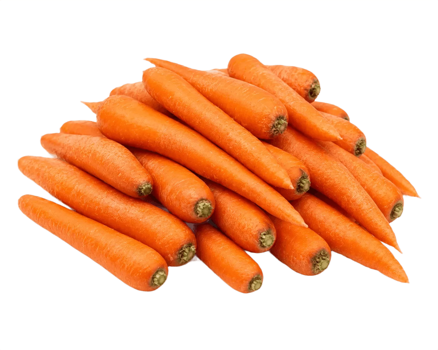 Carrot