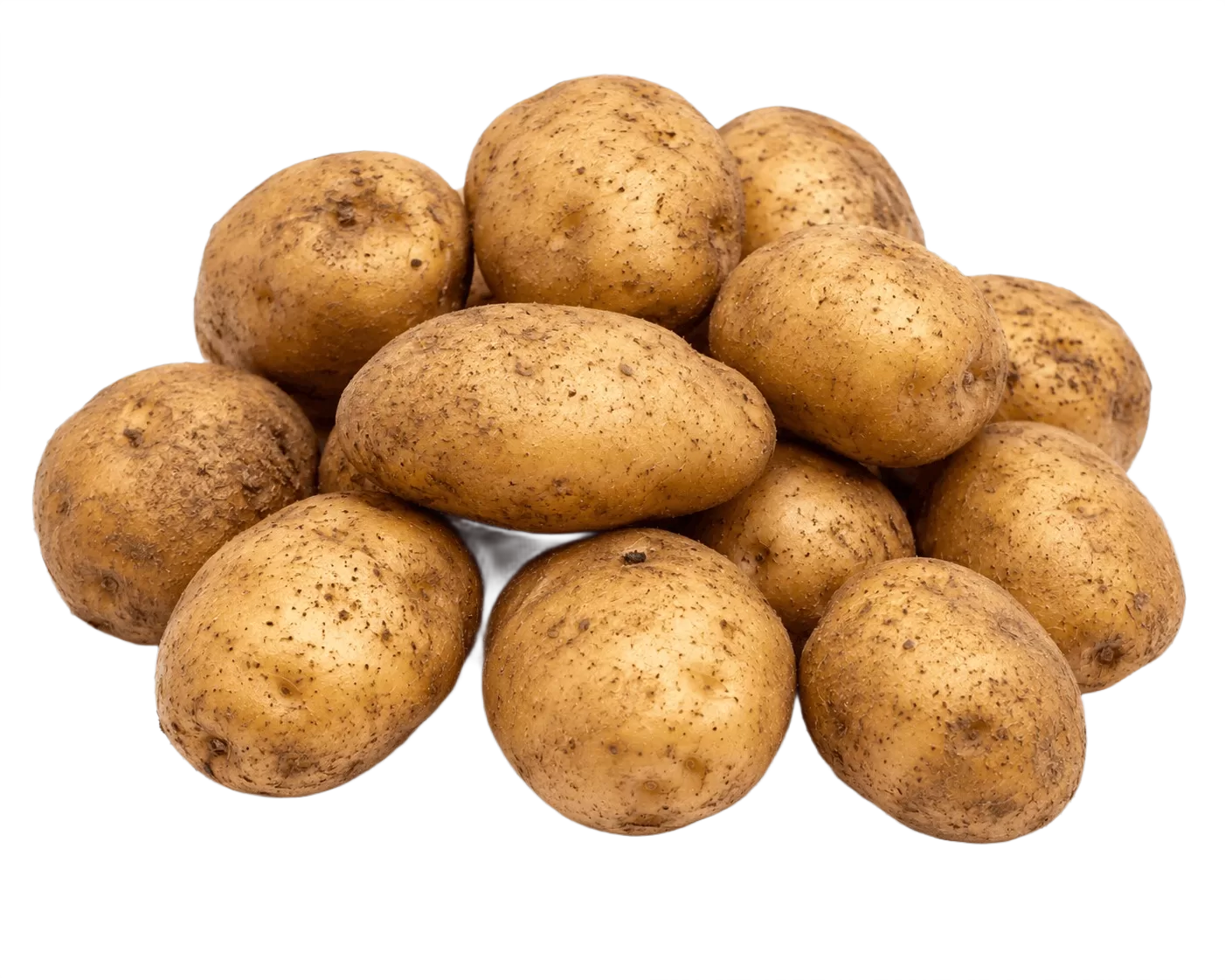 Ooty Potato