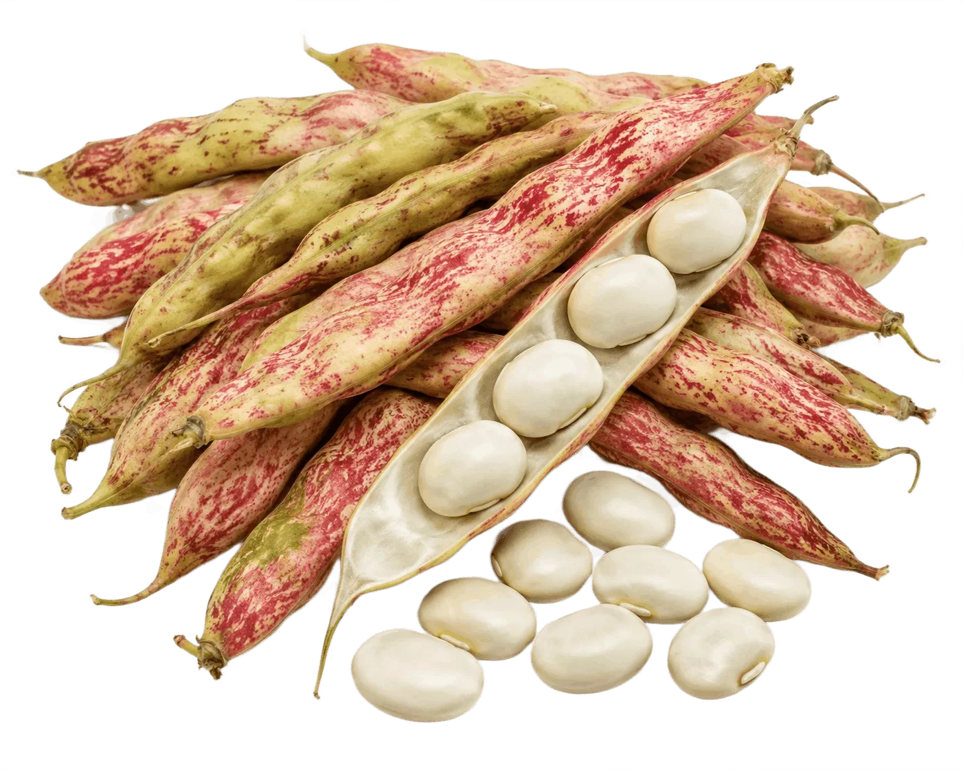 Butter Beans