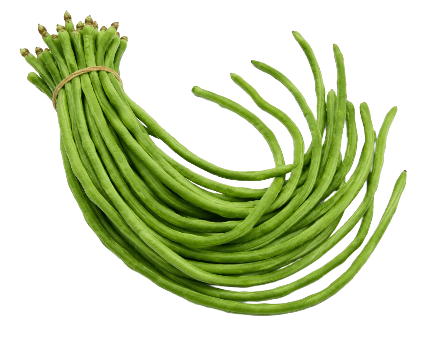 String Beans