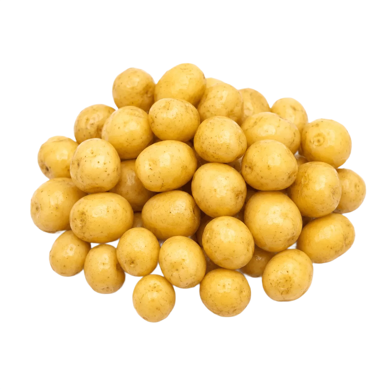 Baby Potato