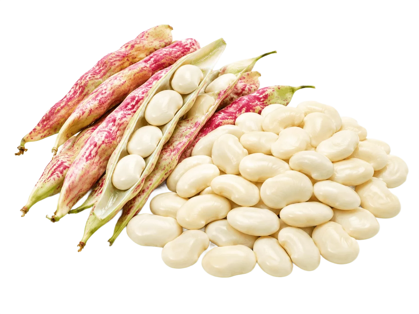 Shelled Butter Beans