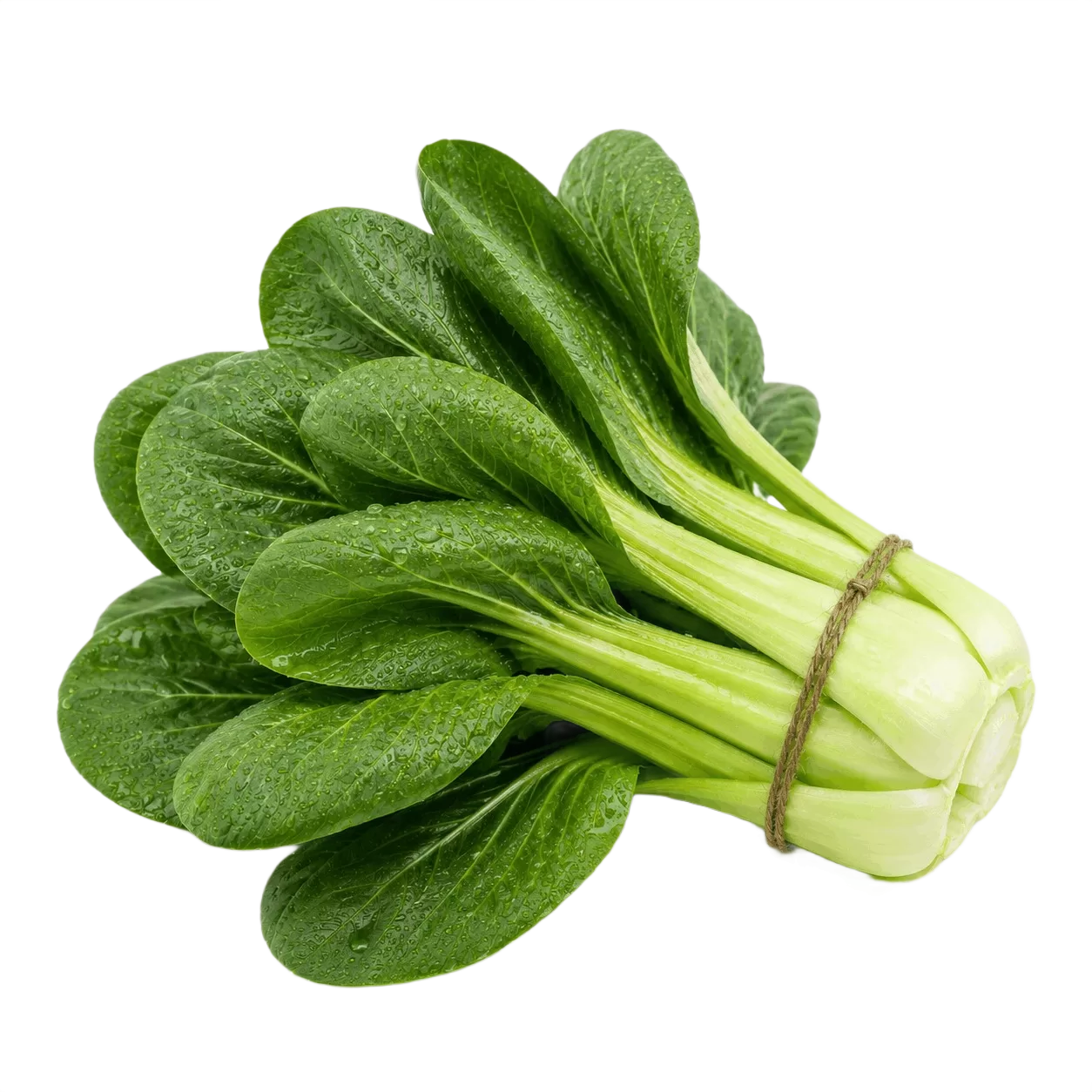 Bok Choy