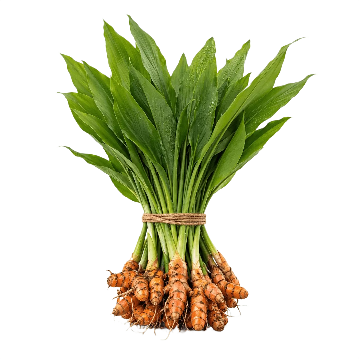 Manjal Kothu