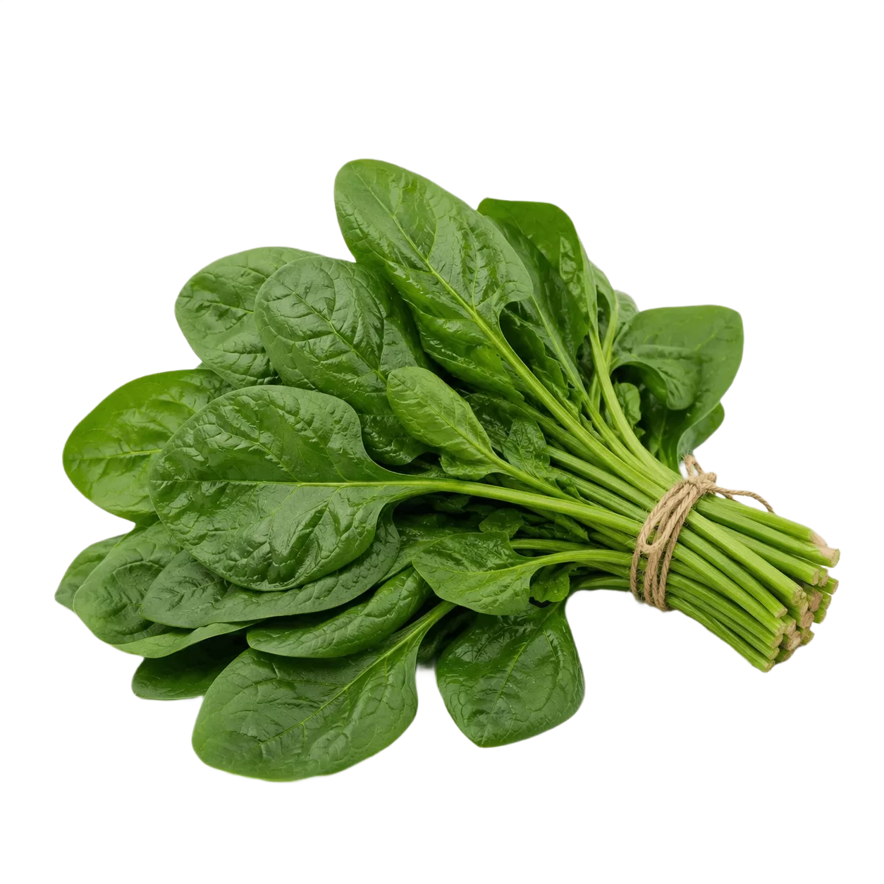 Spinach Cleaned