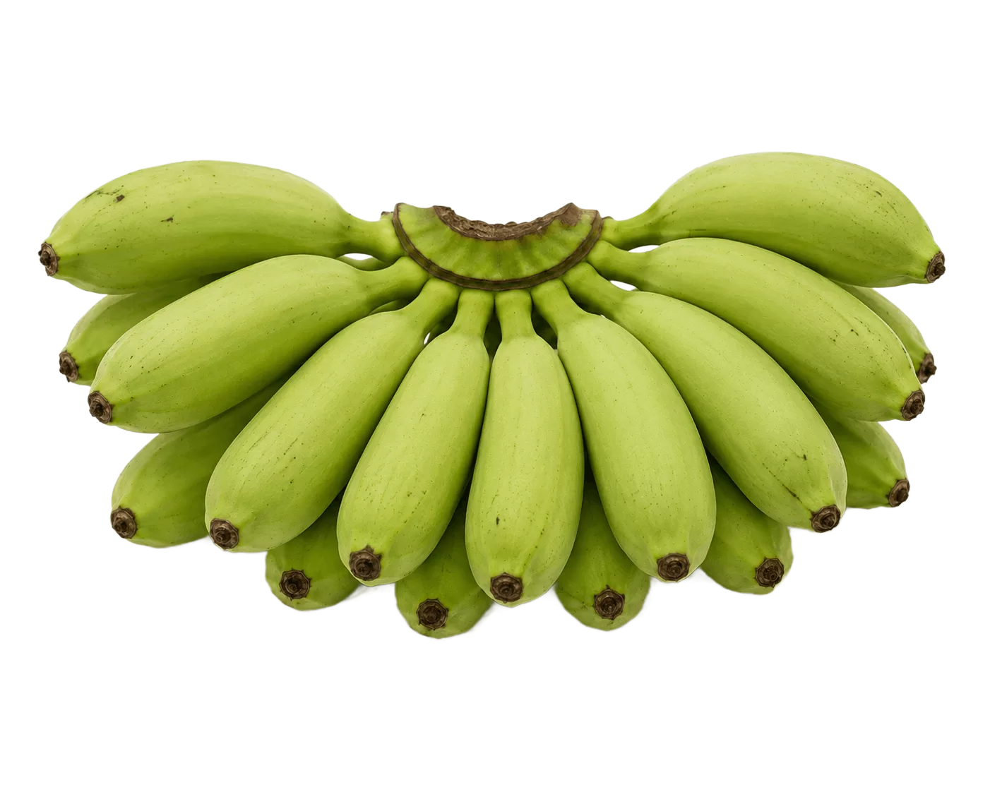 Virupachi Banana