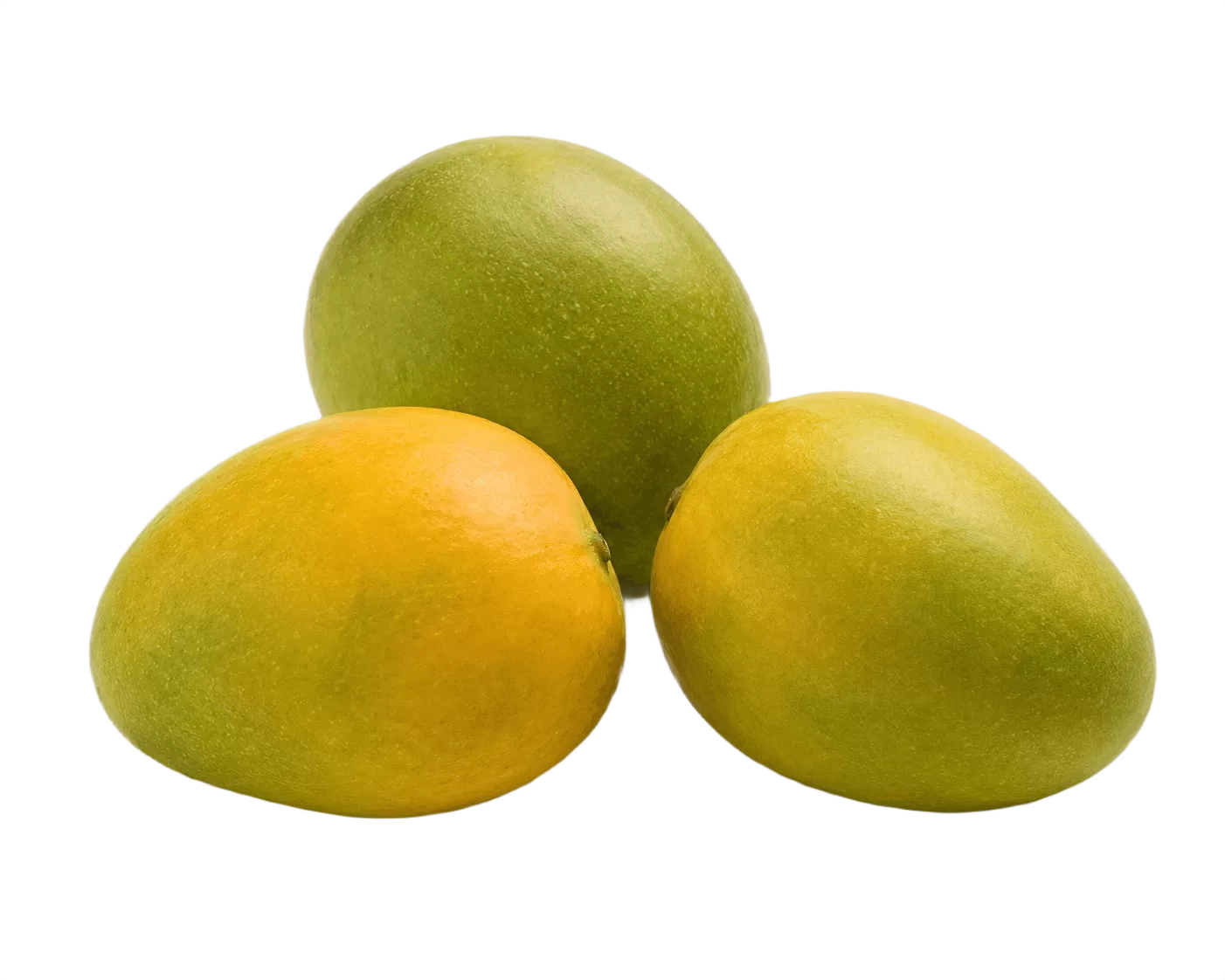 Neelam Mango