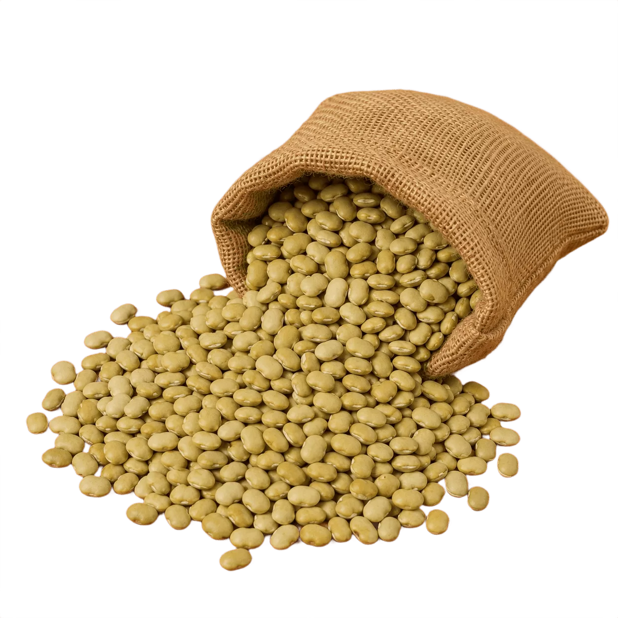 Mochai payiru