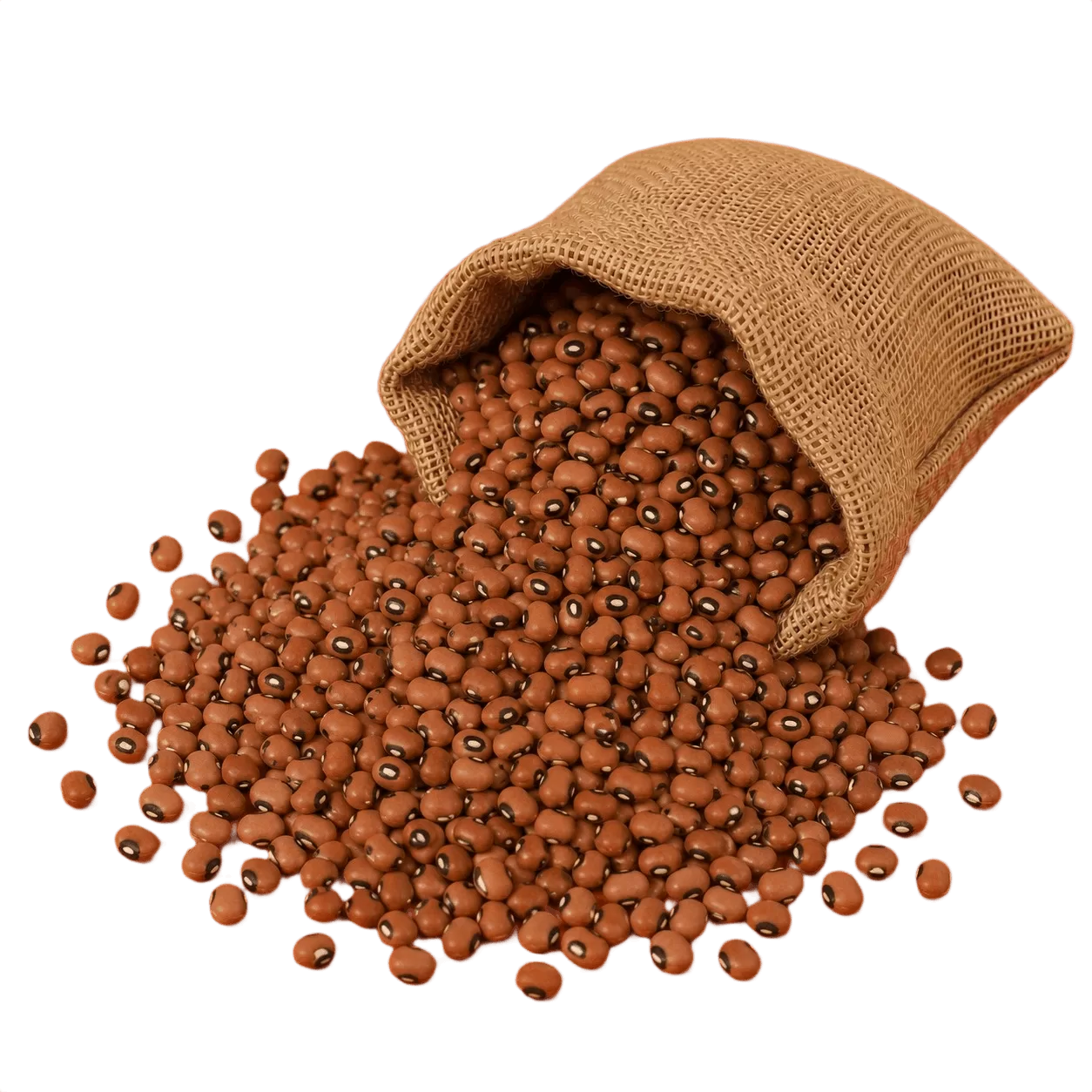 Karamani