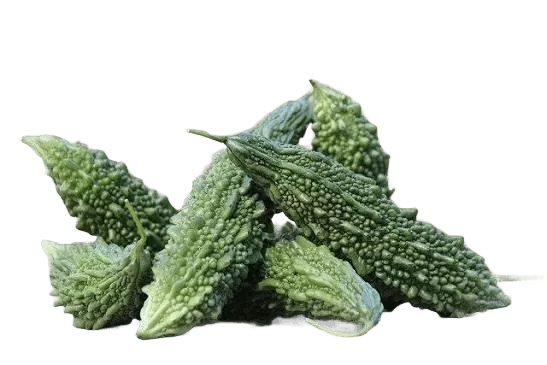 Bitter Gourd