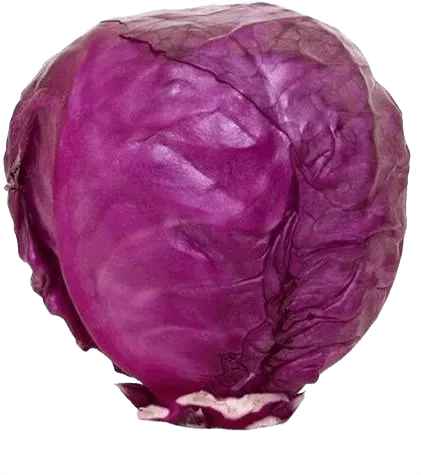 Purple Cabbage