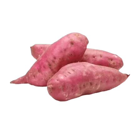 Sweet Potato