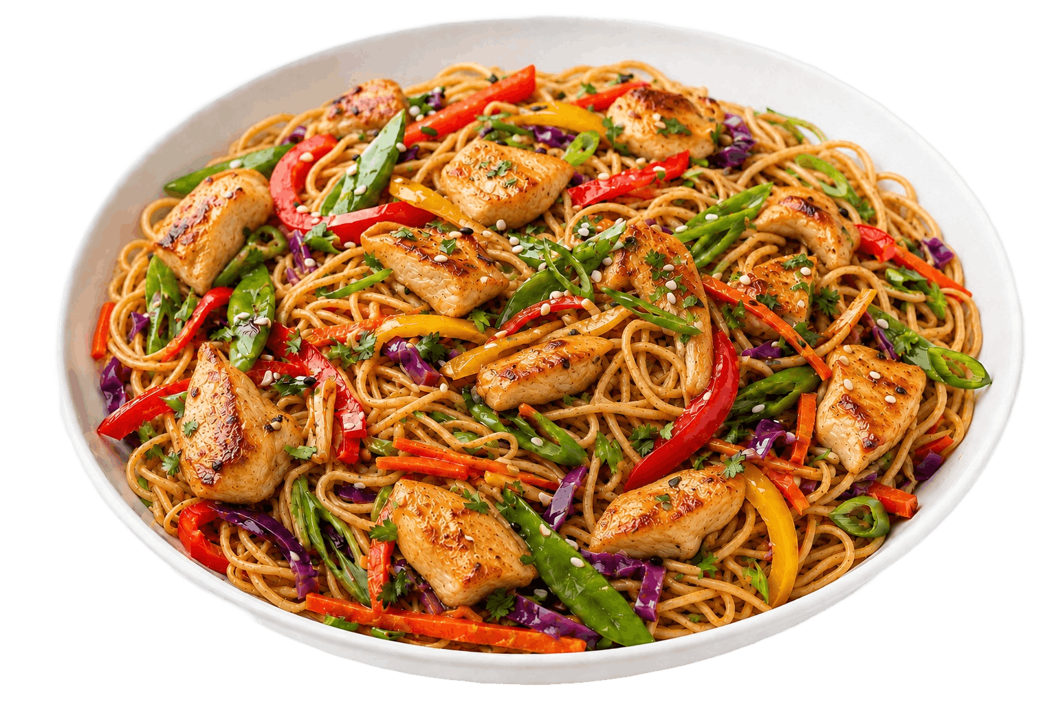 Stir Fry Noodles with Chicken
