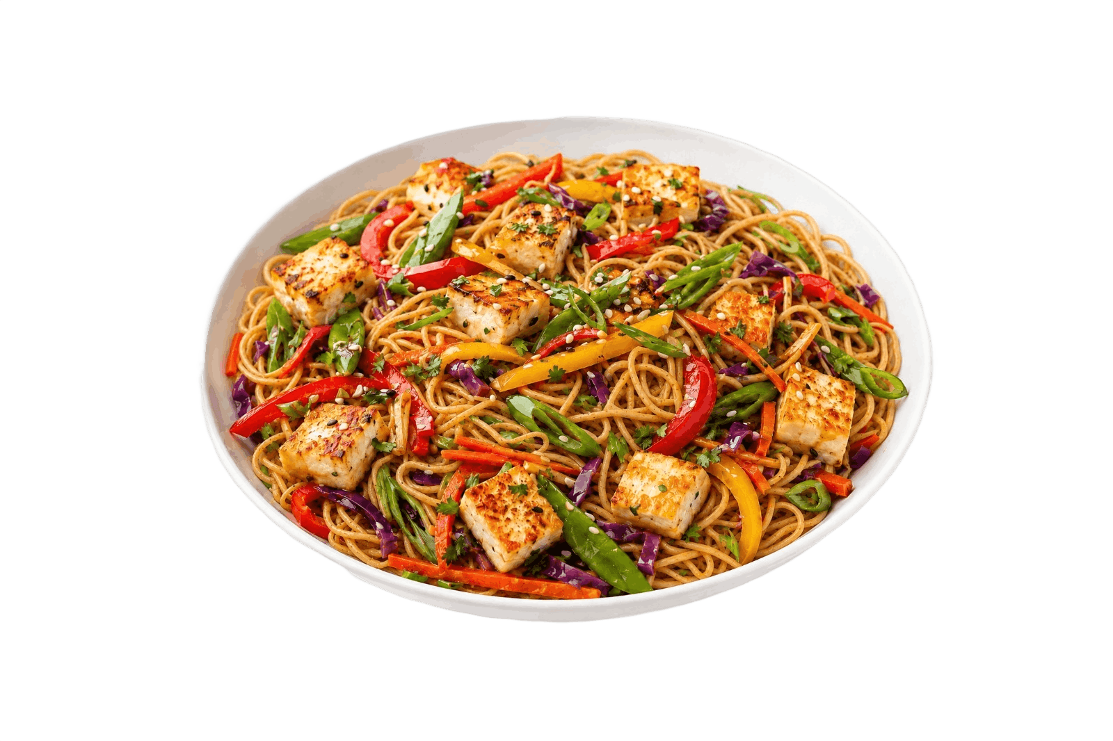 Stir Fry Noodles with Panner